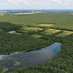 foret de la bruyère vue du ciel - France Valley