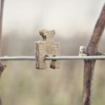 une agrafe en bois tient des cables dans une vigne
