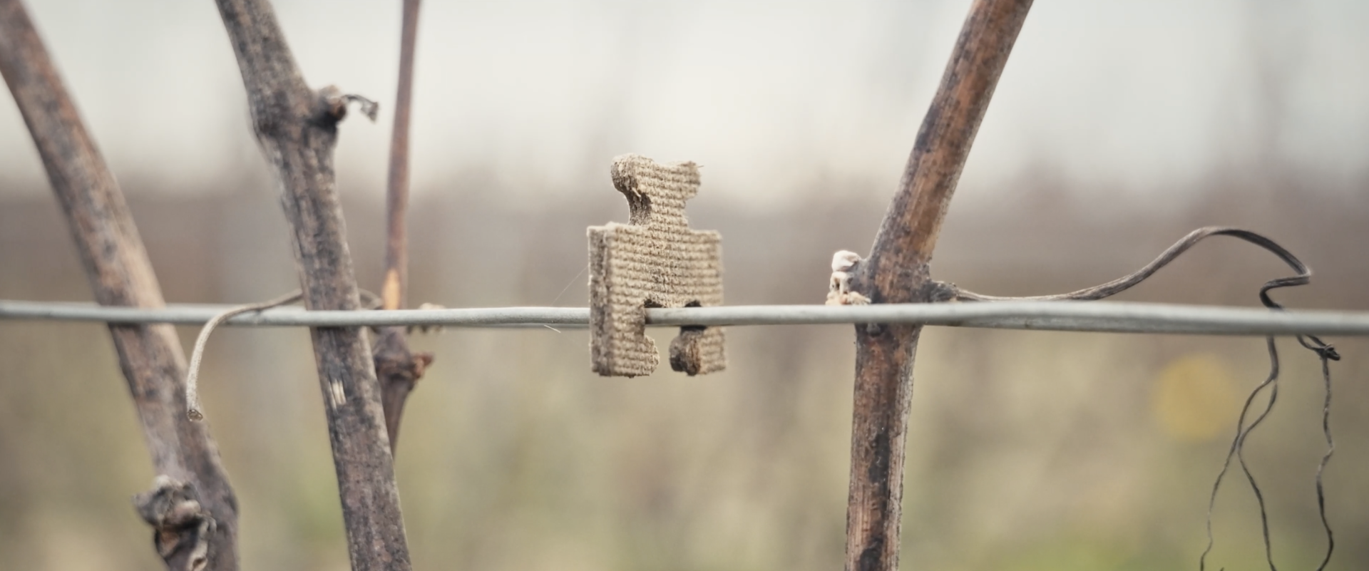 une agrafe en bois tient des cables dans une vigne