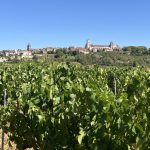 vignes et colline de Vézelay avec la basilique en fond